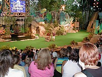 ap09.jpg