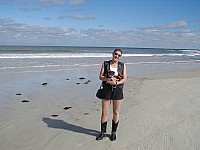 beach_bear.jpg