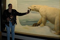 bear_eat_bear_world.jpg